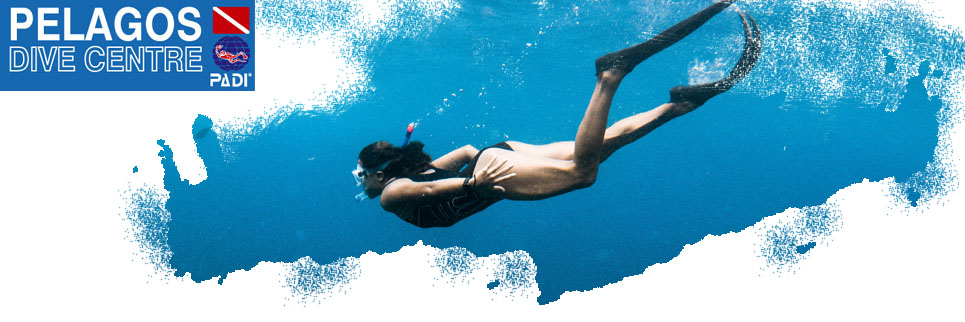 Header Snorkeling